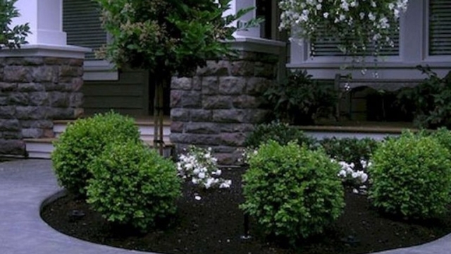 Creating Serene Outdoor Spaces: The Art of Landscape Maintenance