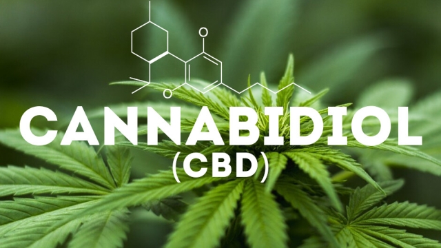 The Amazing Benefits of CBD Products: Unlocking Nature’s Healing Power