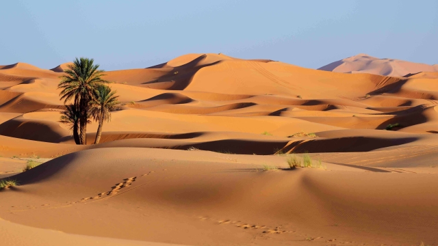 Discover the Magical Sands: Morocco’s Desert Tours