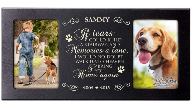 Forever in Our Hearts: Honoring the Memory of Beloved Pets