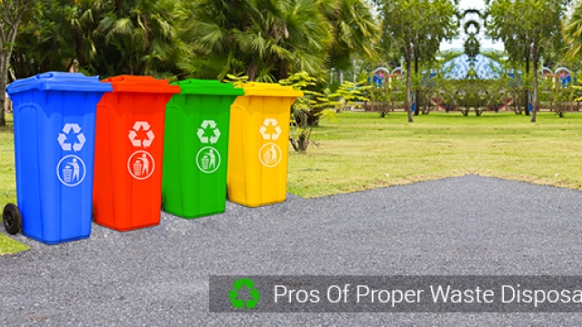 The Art of Sustainable Waste Removal: Minimizing Footprints, Maximizing Impact