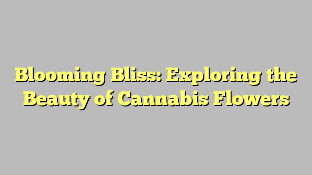 Blooming Bliss: Exploring the Beauty of Cannabis Flowers