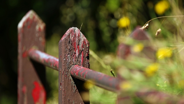 Unlocking the Freedom: Embrace the Versatility of Portable Fences