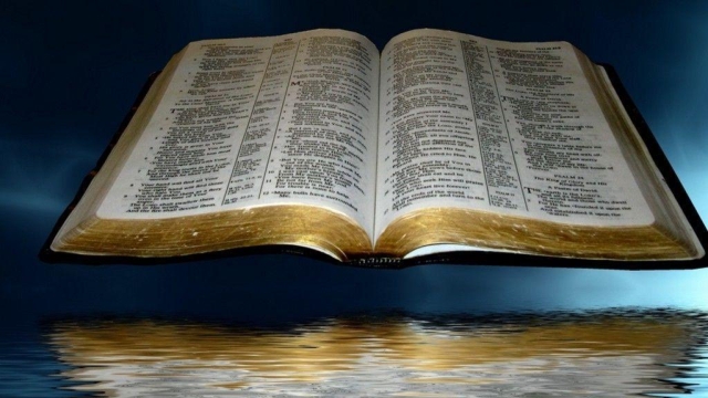 Unveiling the Wisdom: A Deeper Dive into Bible Study