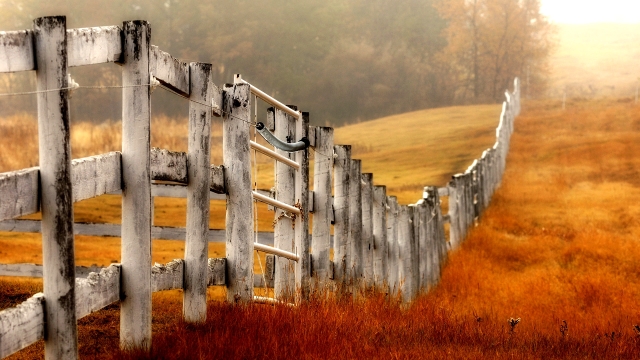 Fences Unchained: Comparing Chain Link and Wood Fencing