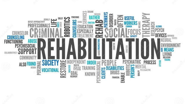 Unveiling the Road to Redemption: Exploring the Power of Rehabilitation