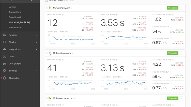 The Watchful Eye: Unveiling the Secrets of Web Monitoring