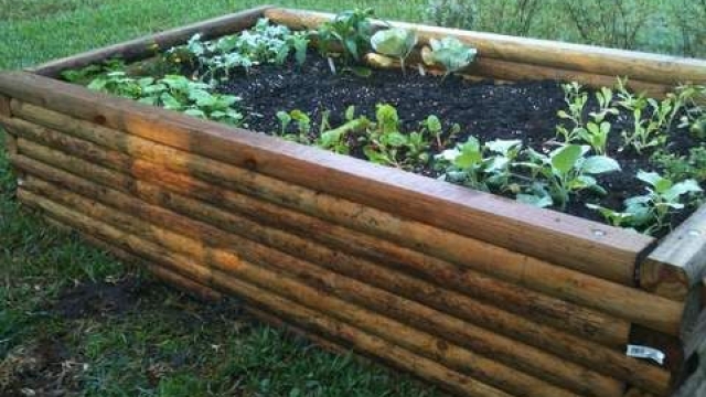 Blossoming Bounty: Unleashing the Magic of Garden Beds