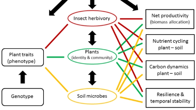 Harmony in Diversity: Exploring the Wonders of Ecology and Biodiversity