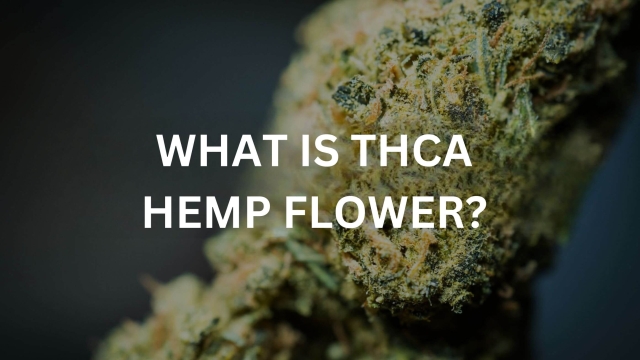 The Ultimate Guide to THCA Flower: Benefits, Uses, and More!