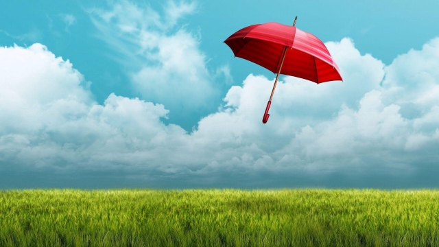 Insuring Your Peace of Mind: Unraveling the World of Insurance