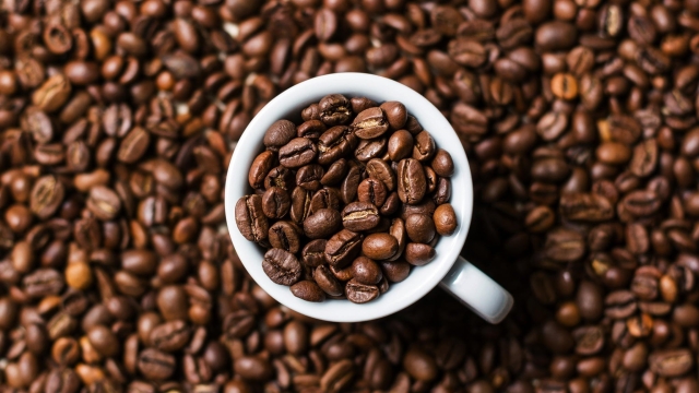 Brewing Happiness: The Art and Science of Your Perfect Cup of Coffee