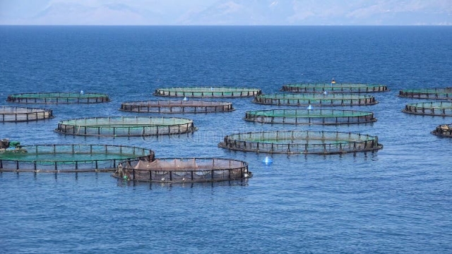 Revolutionizing Oceans: The Future of Aquaculture Technology