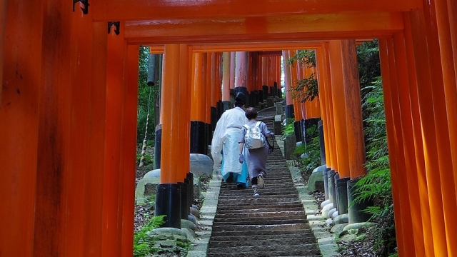 Whispers of the Kami: Exploring the Sacred Beauty of Shinto Shrines in Japan