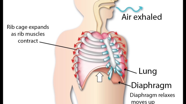 Breathe Easy: The Evolution and Impact of Inhalation Devices