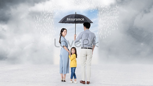 The Ultimate Guide to Navigating the Insurance Agency Landscape